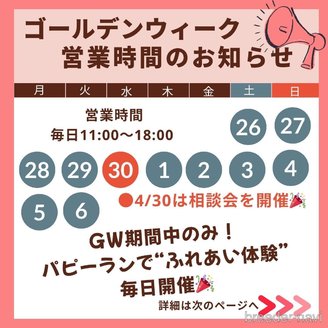 成約済の神奈川県のミックス犬-384335の3枚目